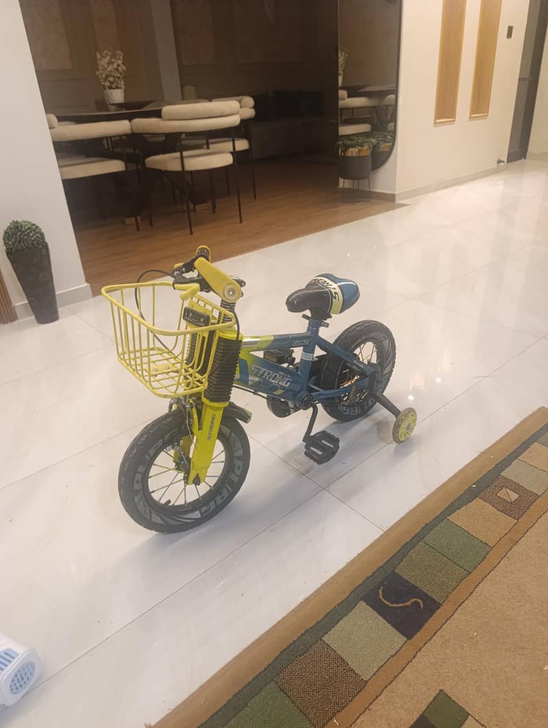 bicycle 2
