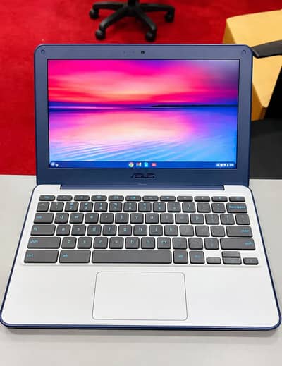Asus C202s