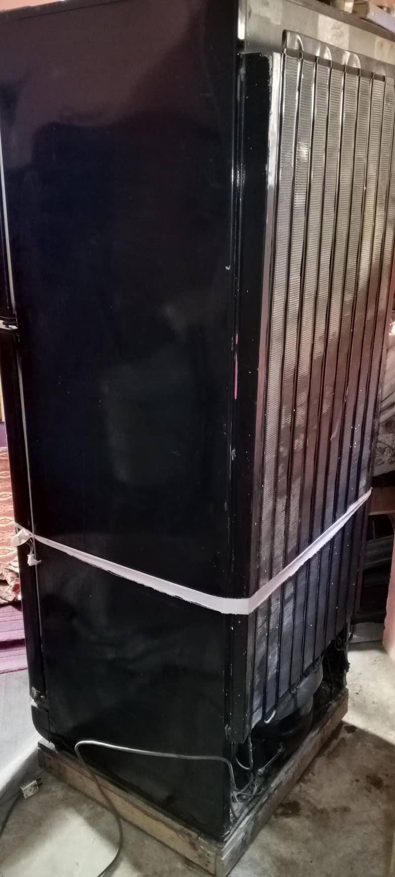 pell refrigerator 1