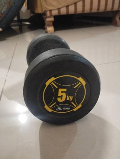 5kg dumbell single piece