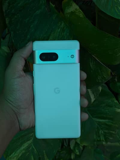 Google Pixel 7 Official PTA APPROVED