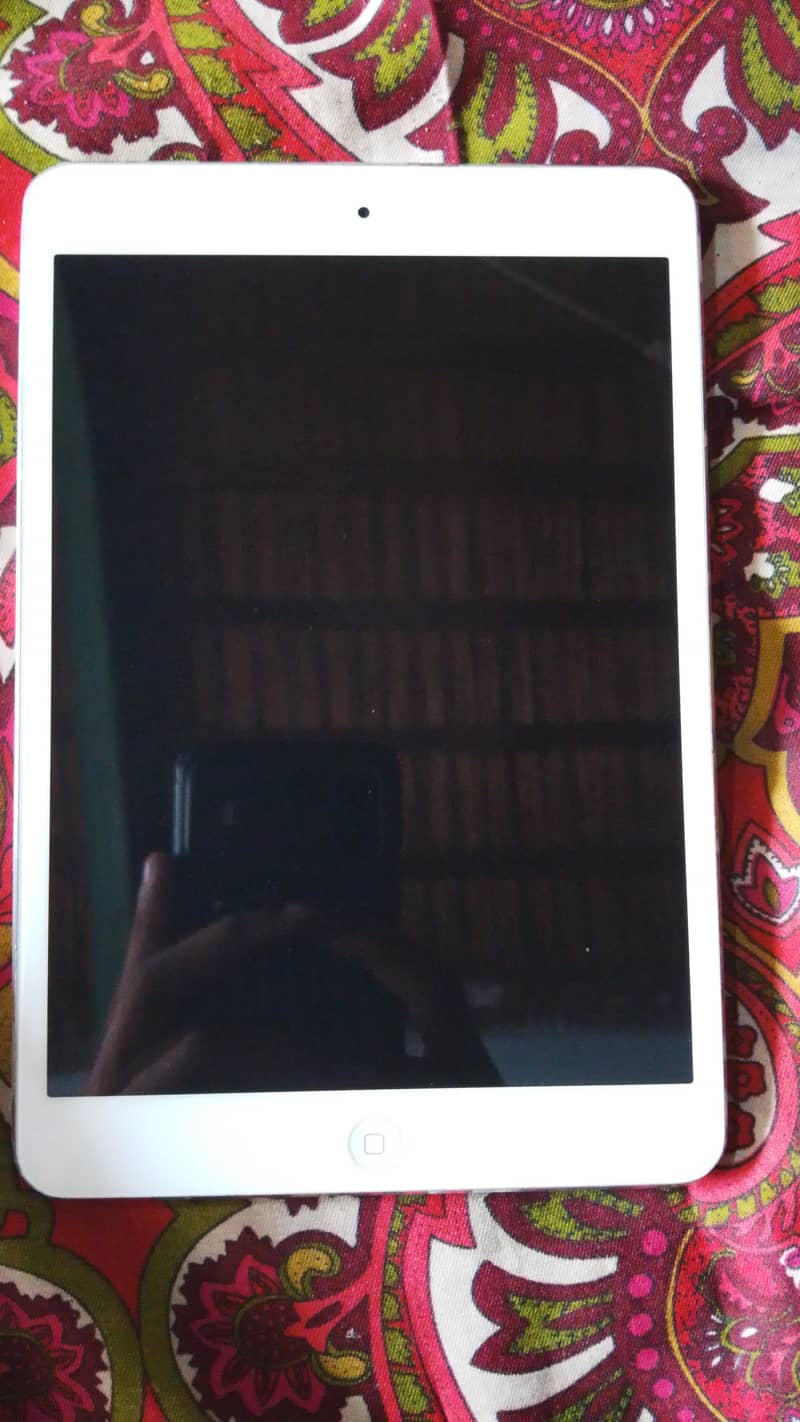 ipad mini 2 0