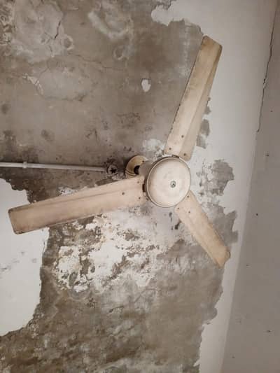 Ceiling Fan  Super Life