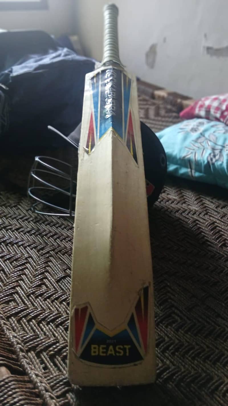 Cricket kiit 2