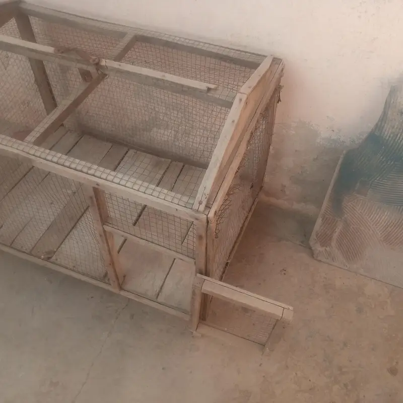 cage for sale 03351142356