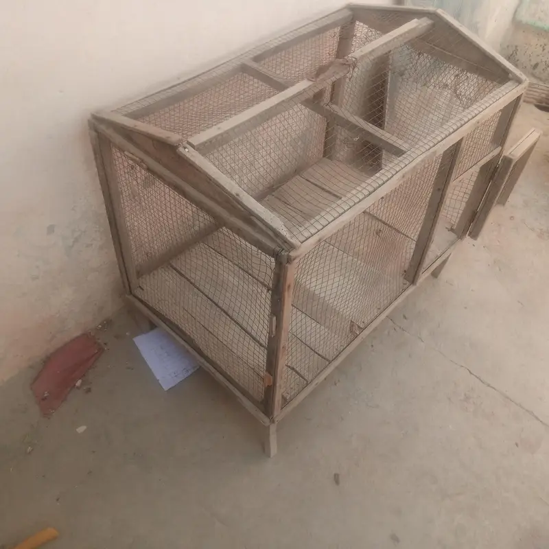 cage for sale 03351142356 — photo 2