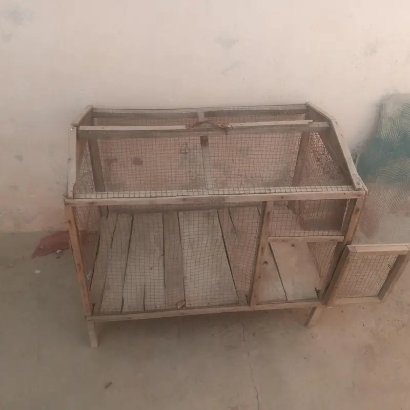 cage for sale 03351142356 — photo 3