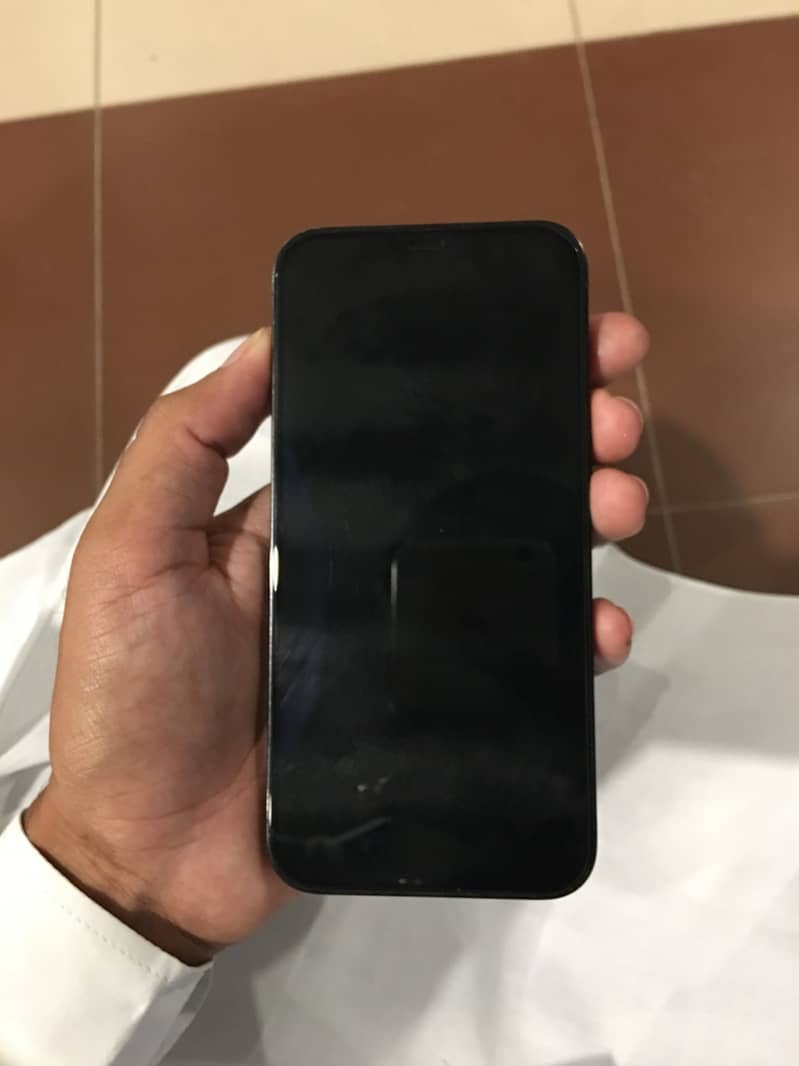 Apple iPhone 12 Pro Max 0