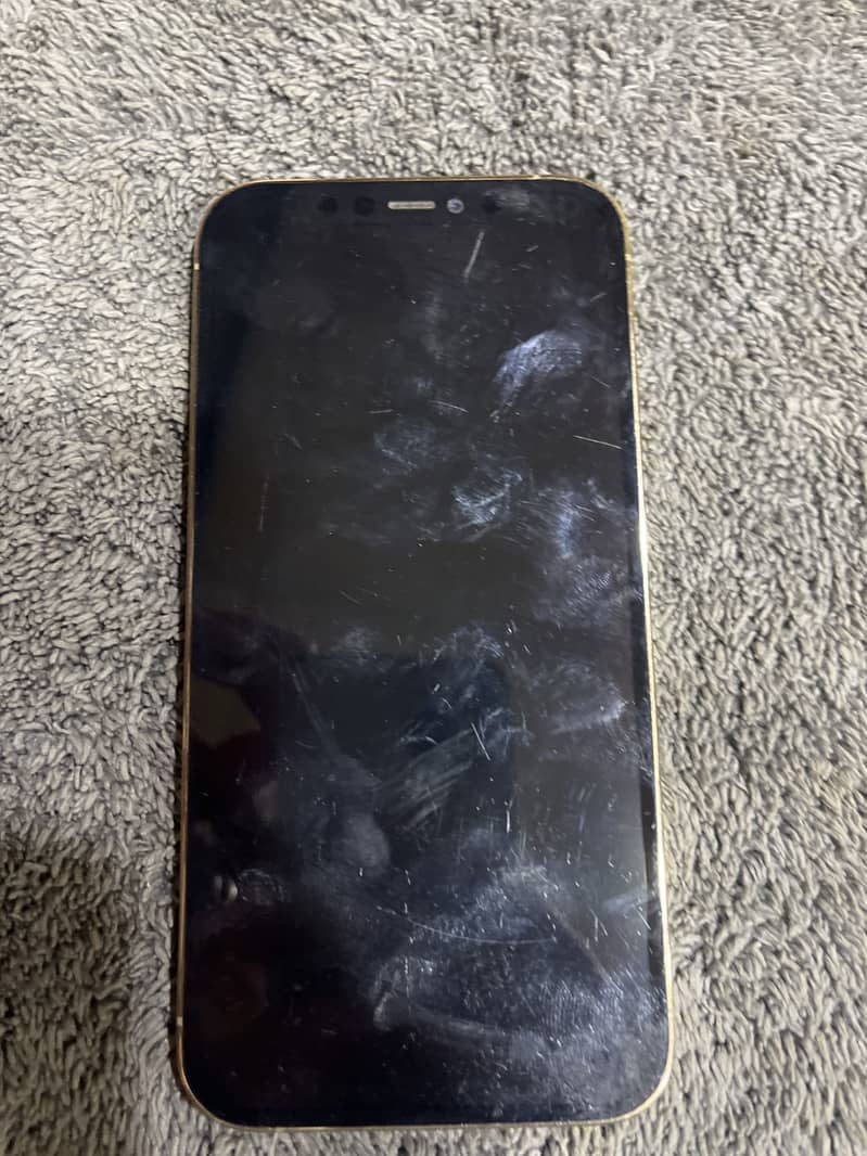 Apple iPhone 12 Pro 1