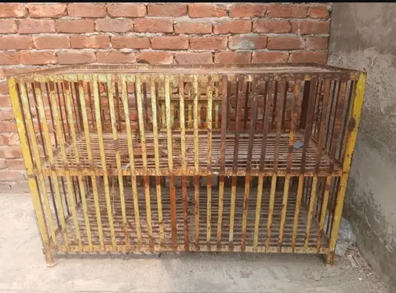 hen cage