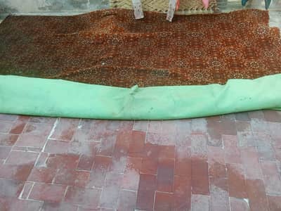 Used Carpet For Sale