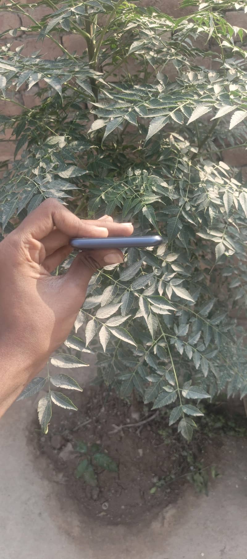 Tecno Spark 7 Pro 4