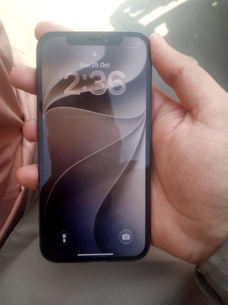 Apple iPhone 12 2