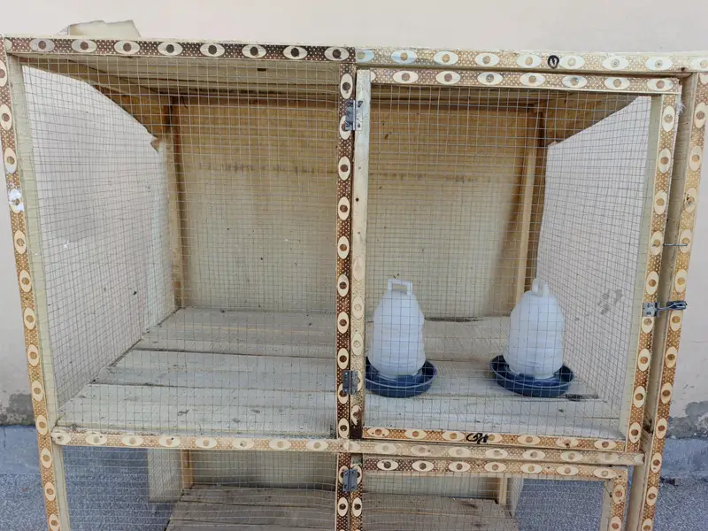 Hens Cage Wooden Structure For Sale — photo 5
