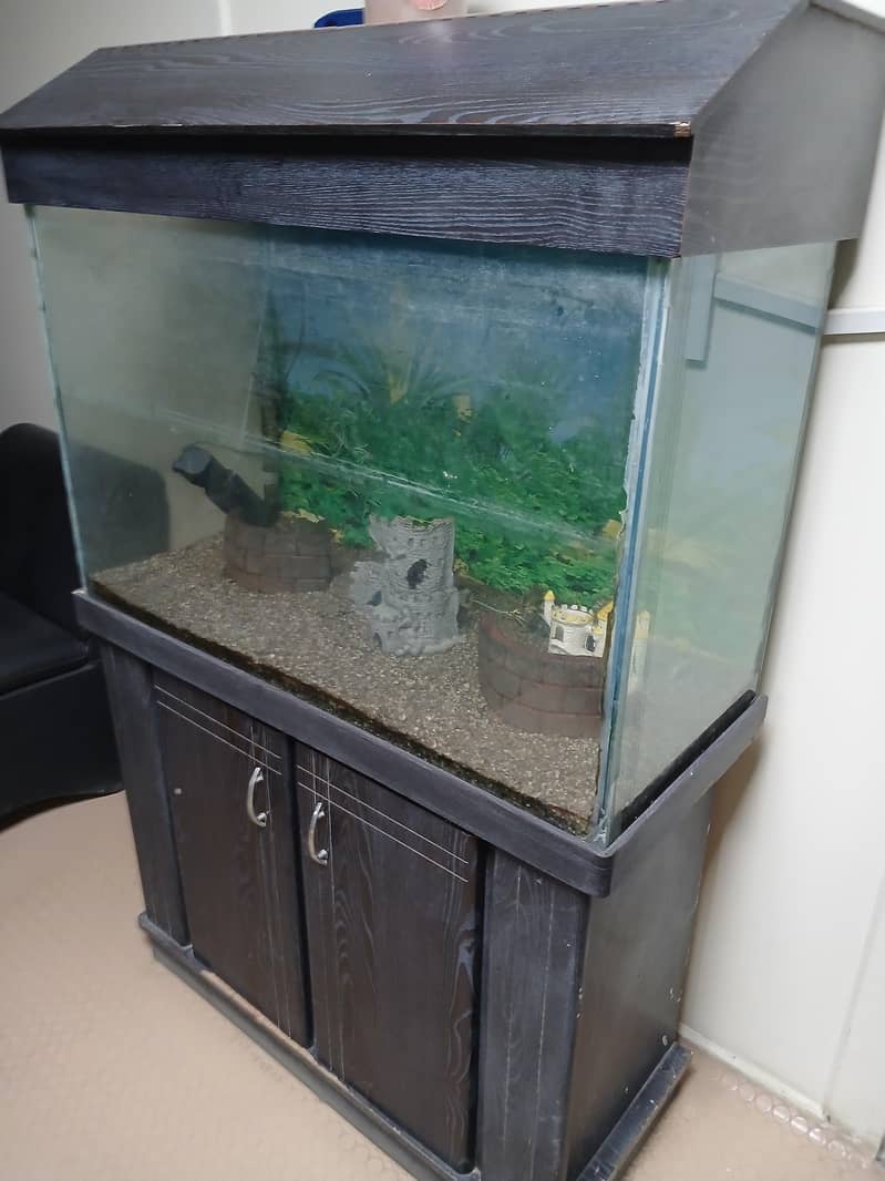 Fish Aquarium 0