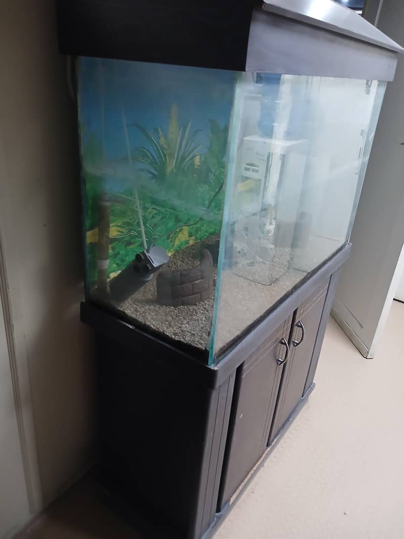 Fish Aquarium 1