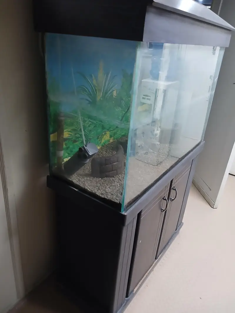 Fish Aquarium — photo 2