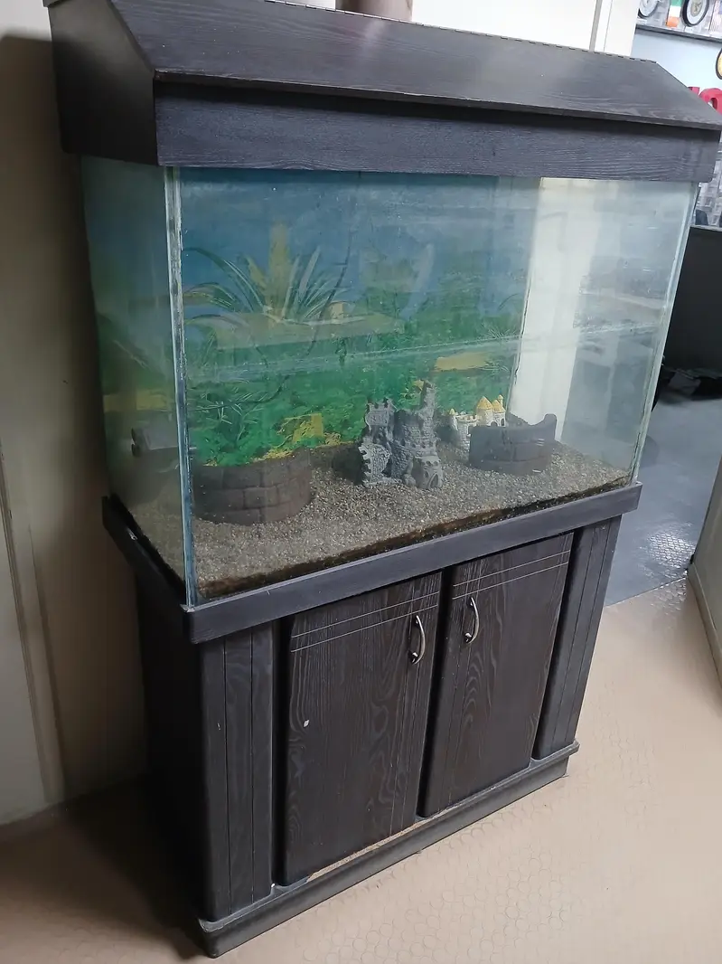 Fish Aquarium — photo 3