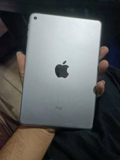 Ipad mini 4