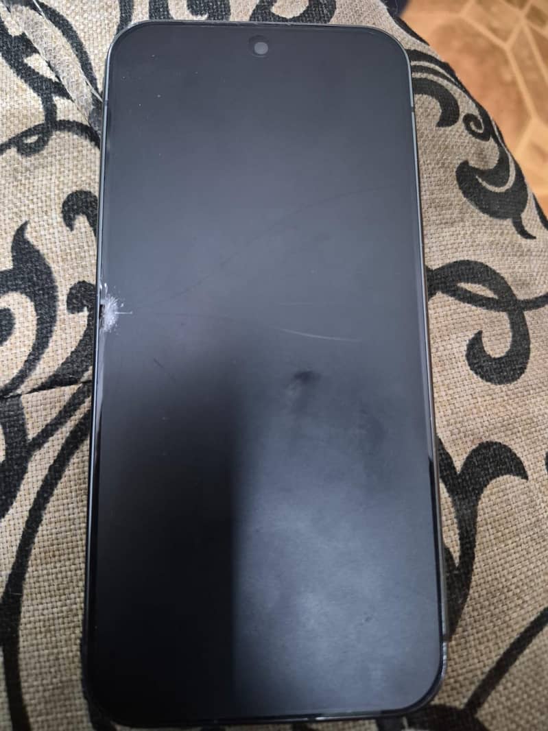 Google Pixel 9 Pro XL 1