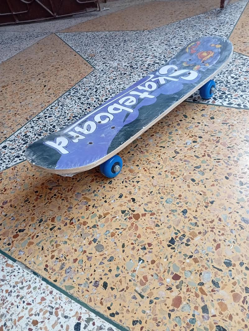 skateboard 2