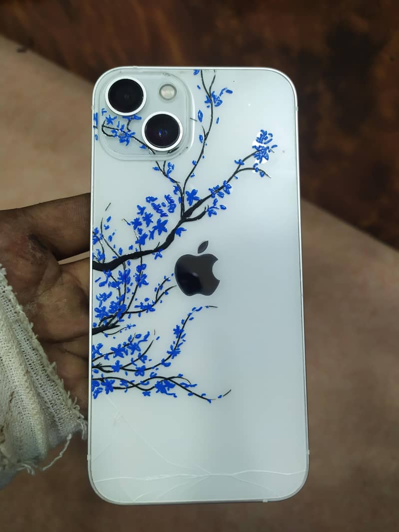 Apple iPhone 13 0