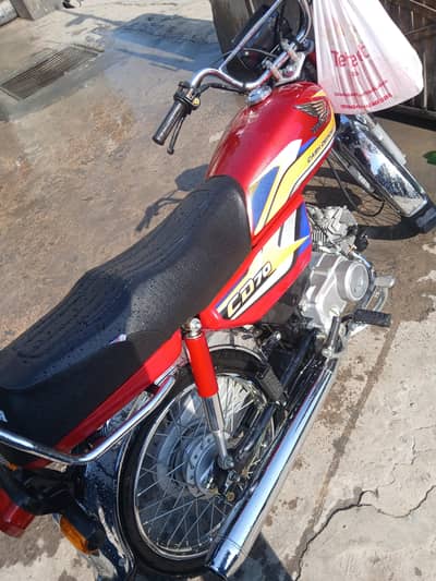 Honda 70 CC 2025