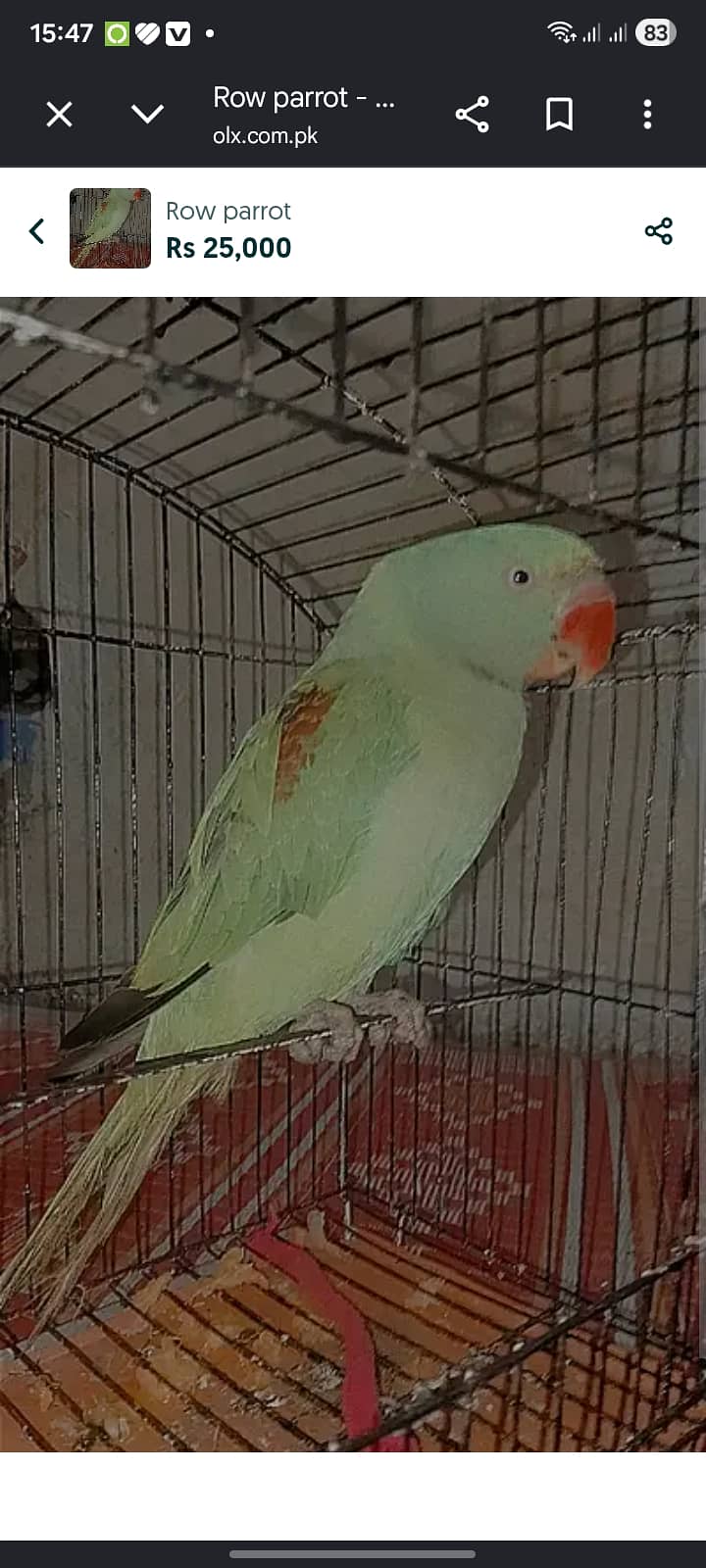 Row parrot 0