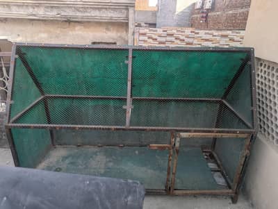Hen and Paret Cage