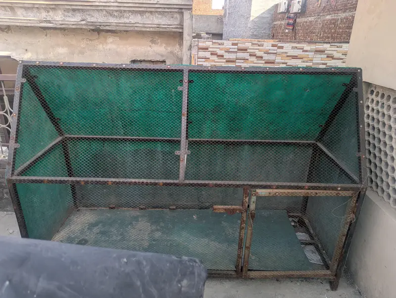Hen and Paret Cage
