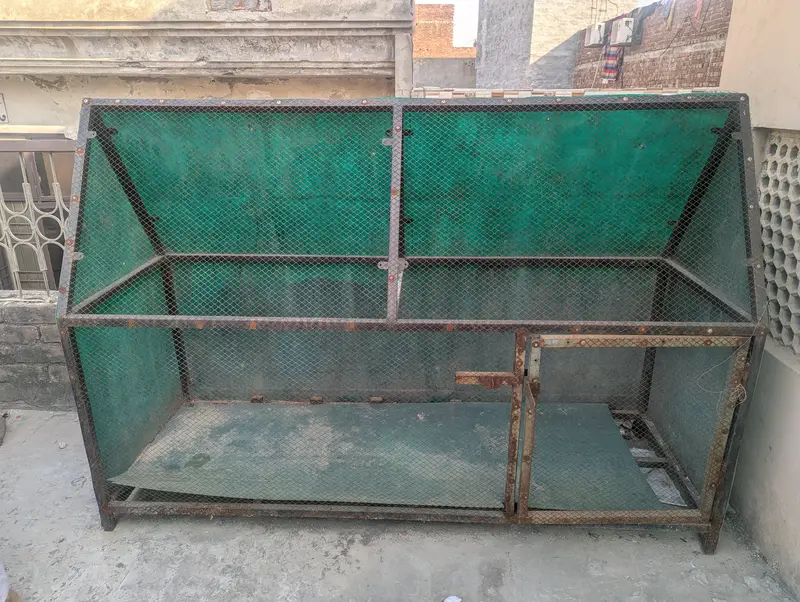Hen and Paret Cage — photo 2
