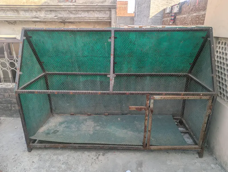 Hen and Paret Cage — photo 5
