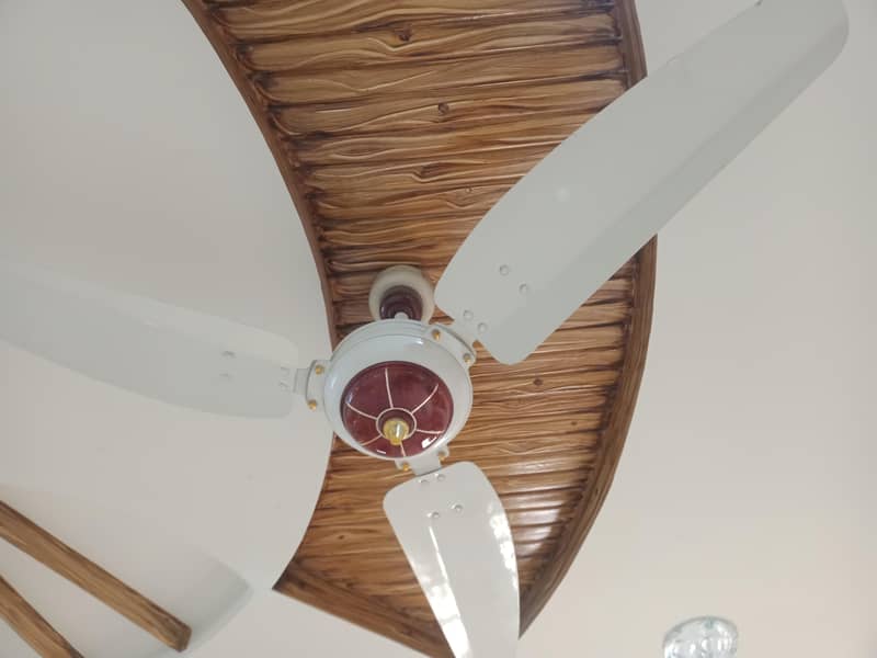 ceiling fan 0