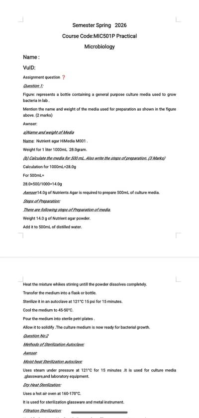 Handwritten Assignment & MS Word Typing Services