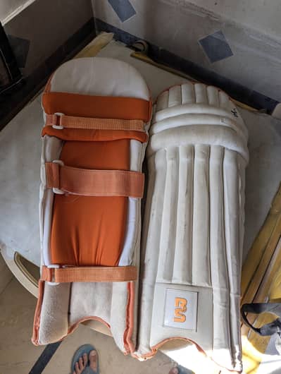 batting pads and thigh pads