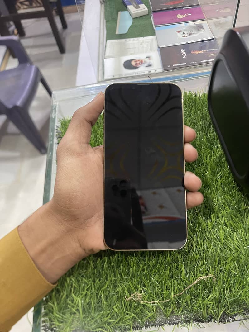 Apple iPhone 13 Pro Max 3