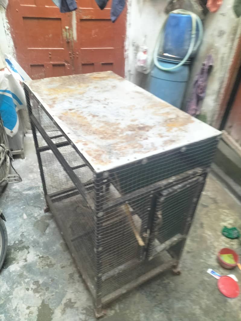 بڑی لوہے کی طوطوں والی جالی برائے فروخت 1