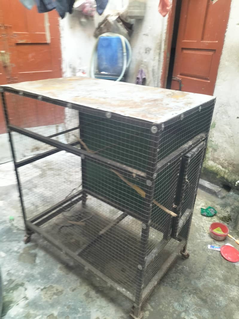 بڑی لوہے کی طوطوں والی جالی برائے فروخت 2
