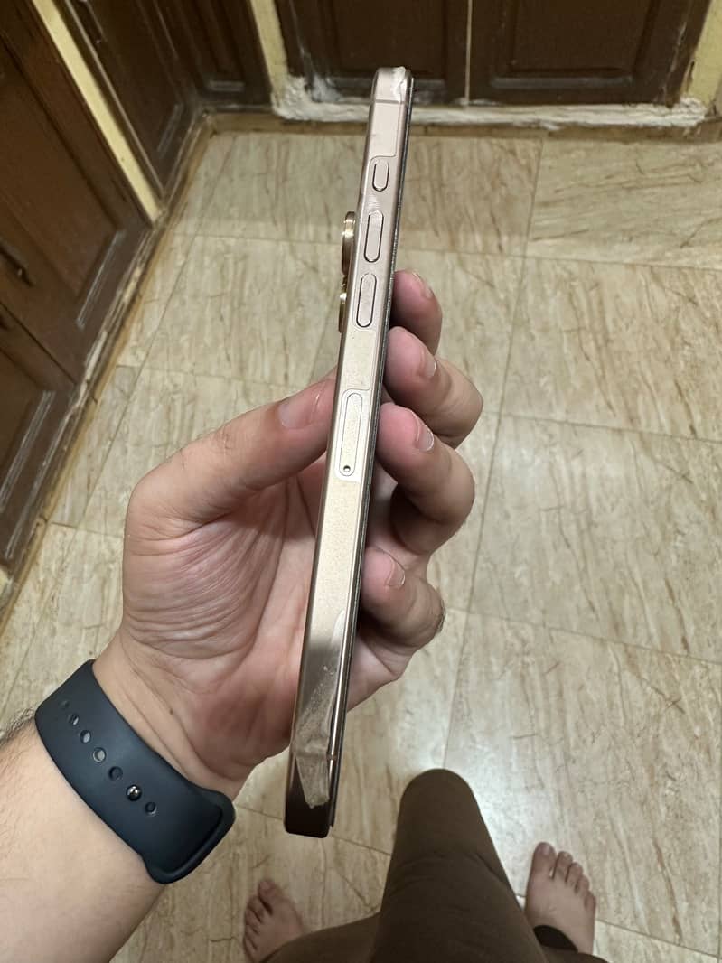 Apple iPhone 16 Pro Max 3
