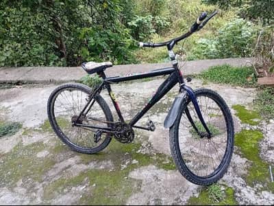 phoenix cycle for sell