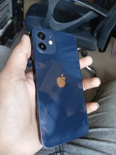 Apple iPhone 12