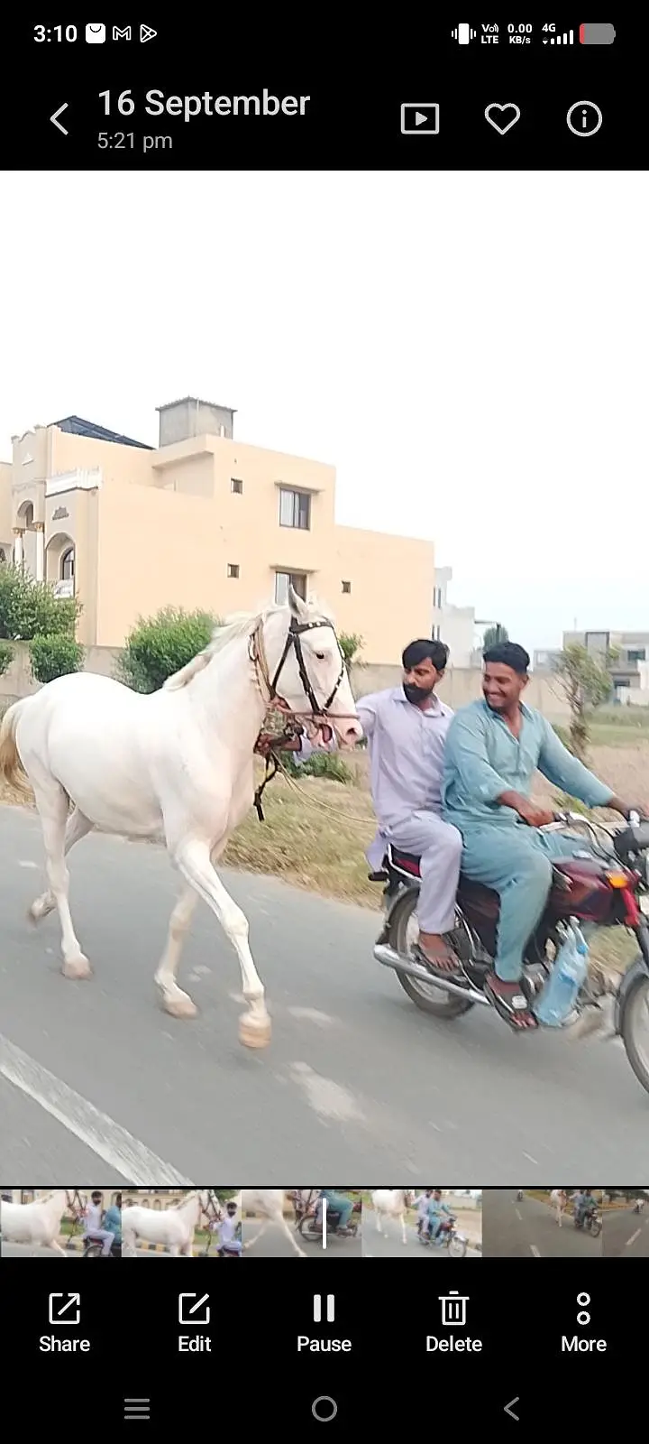 Pure nukri ghori wacheri — photo 2