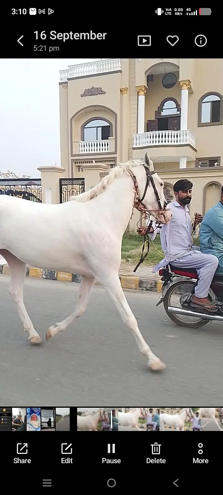 Pure nukri ghori wacheri — photo 3