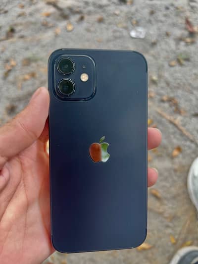 Apple iPhone 12