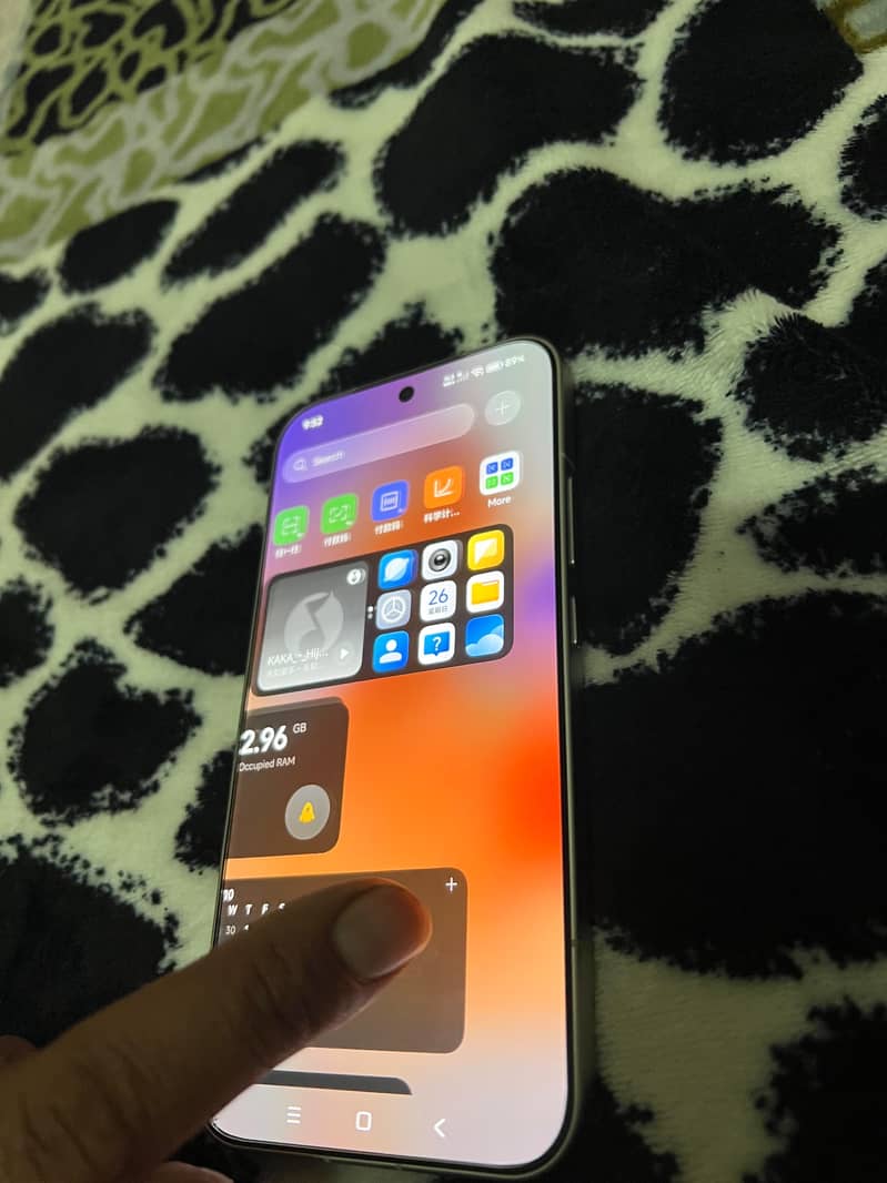Xiaomi 17 Pro Max 6