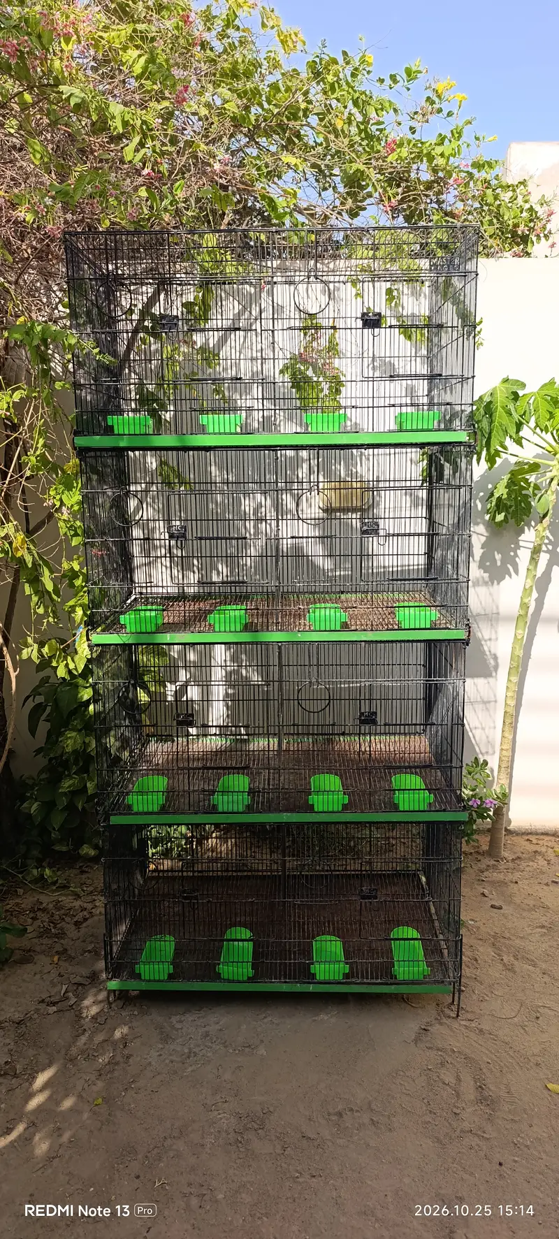 Birds Steel Cage For Sale