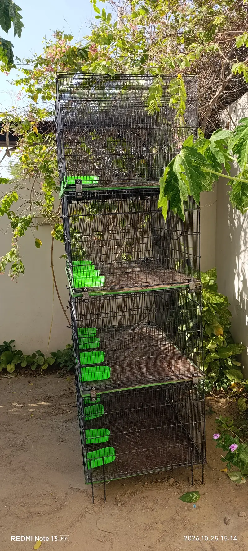 Birds Steel Cage For Sale — photo 2