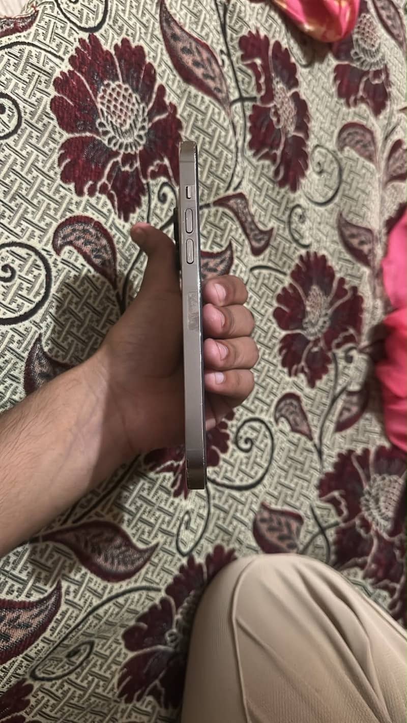 Apple iPhone 14 Pro Max 4
