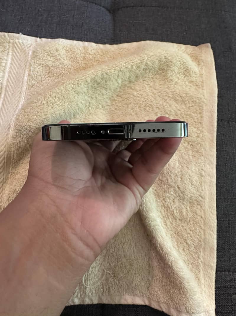 Apple iPhone 13 Pro Max 12