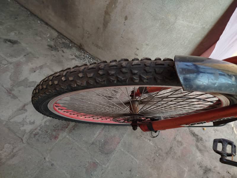 bicycle for sell normal condition 3